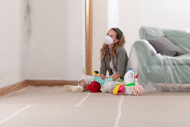 Reliable Mold Cleanup contractor in Cranford, NJ by Cheap Mold Removal